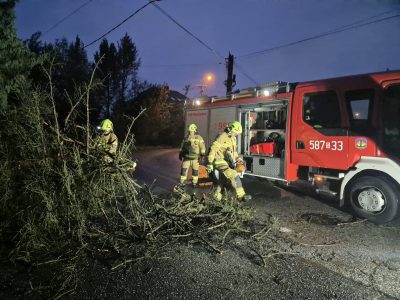 Usunięcie powalonego drzewa i podziękowanie za szybką interwencję