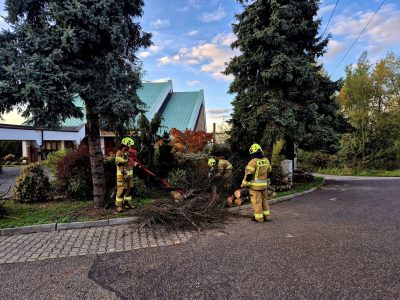 Wycinka wysuszonych drzew – podziękowania dla OSP Rybnik-Niewiadom